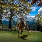 Pousada Marco Polo